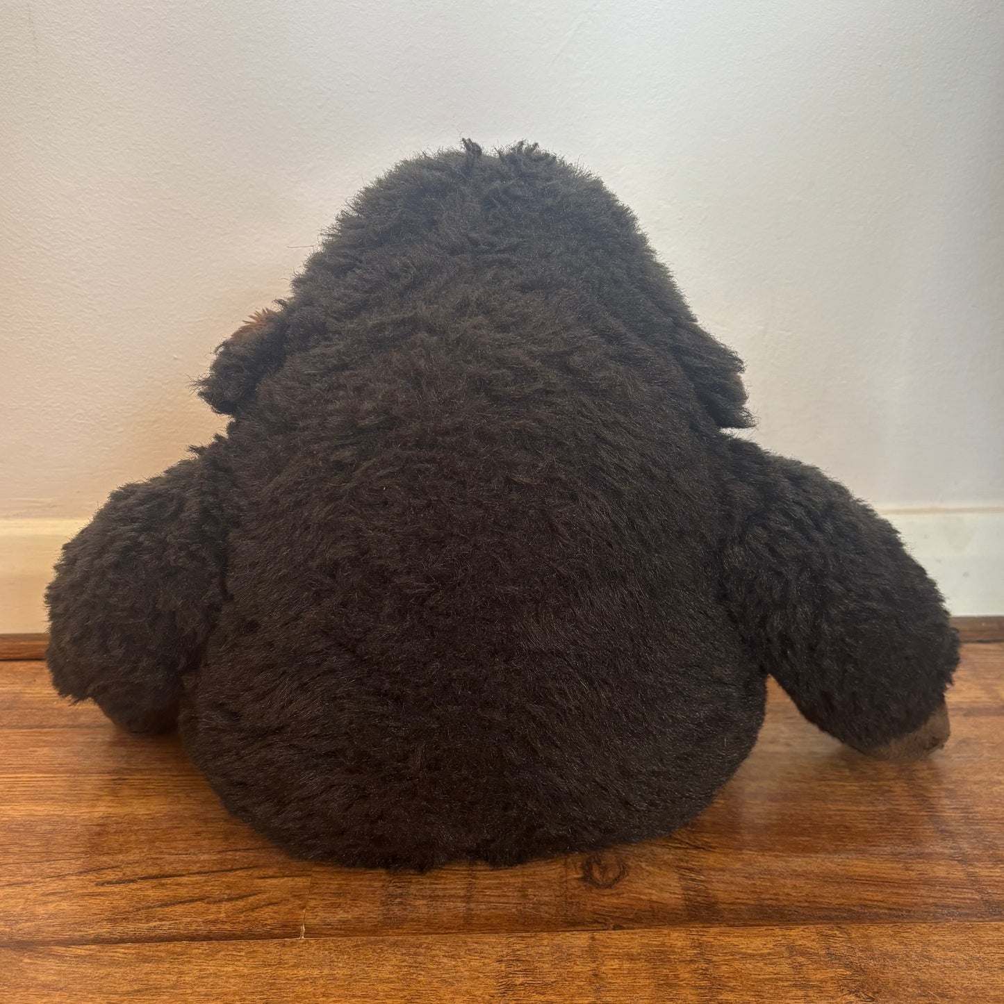 Barry Bashful