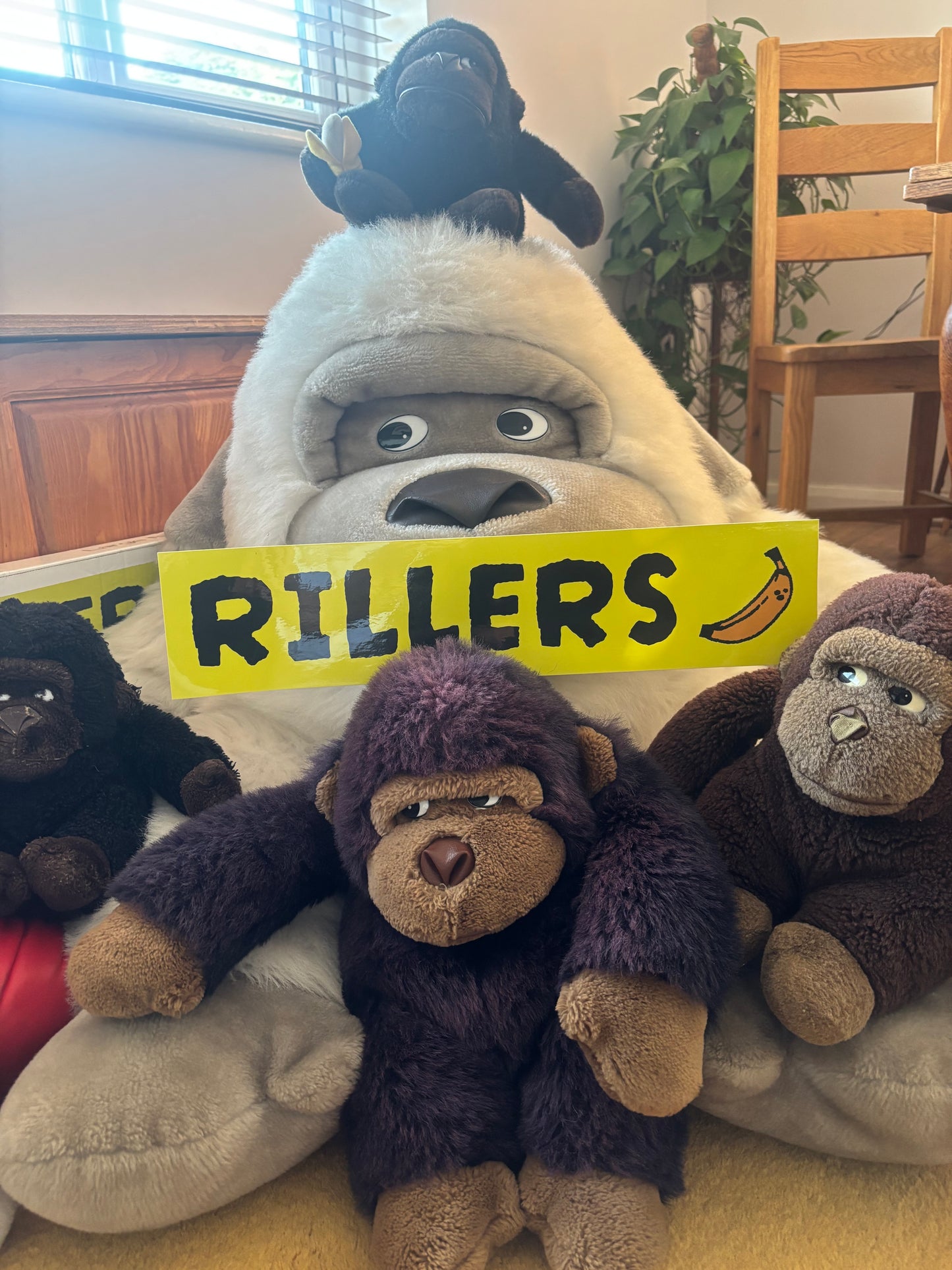 x3 RILLERS Logo Bumper Sticker Pack
