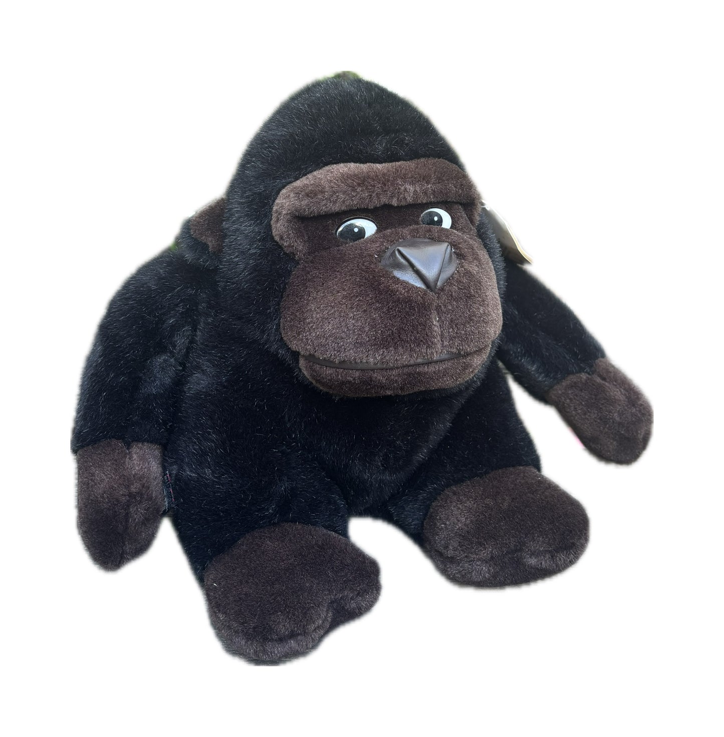 Benjamin