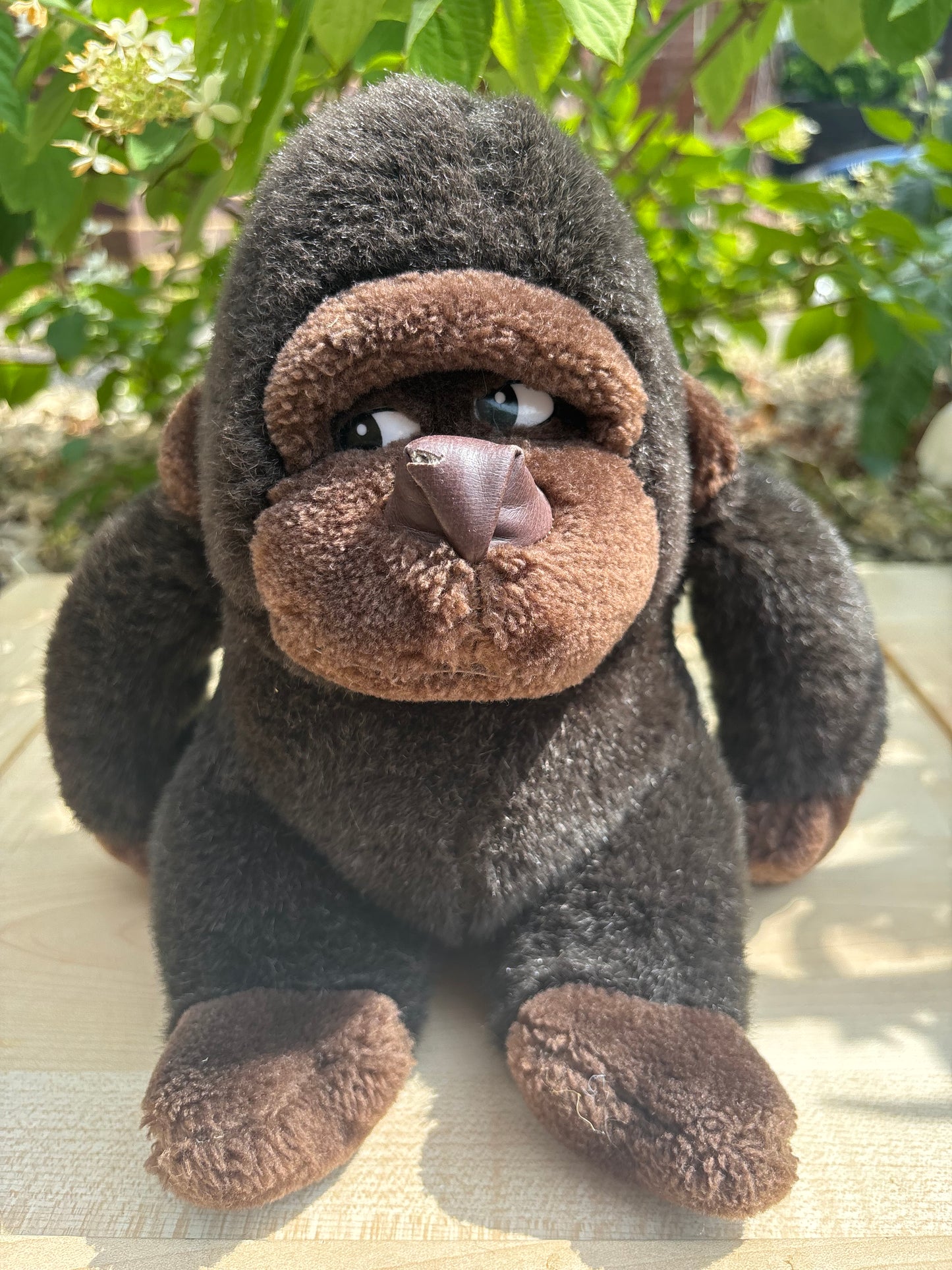 Eduardo