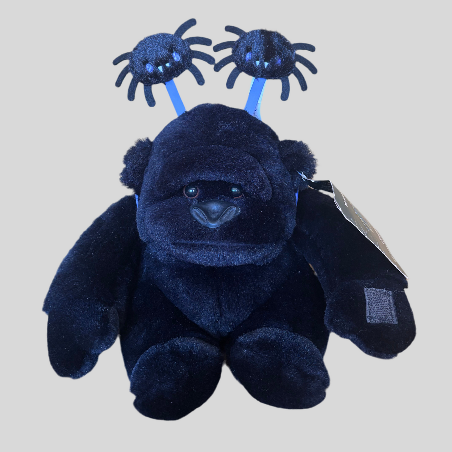 Wincey Spider