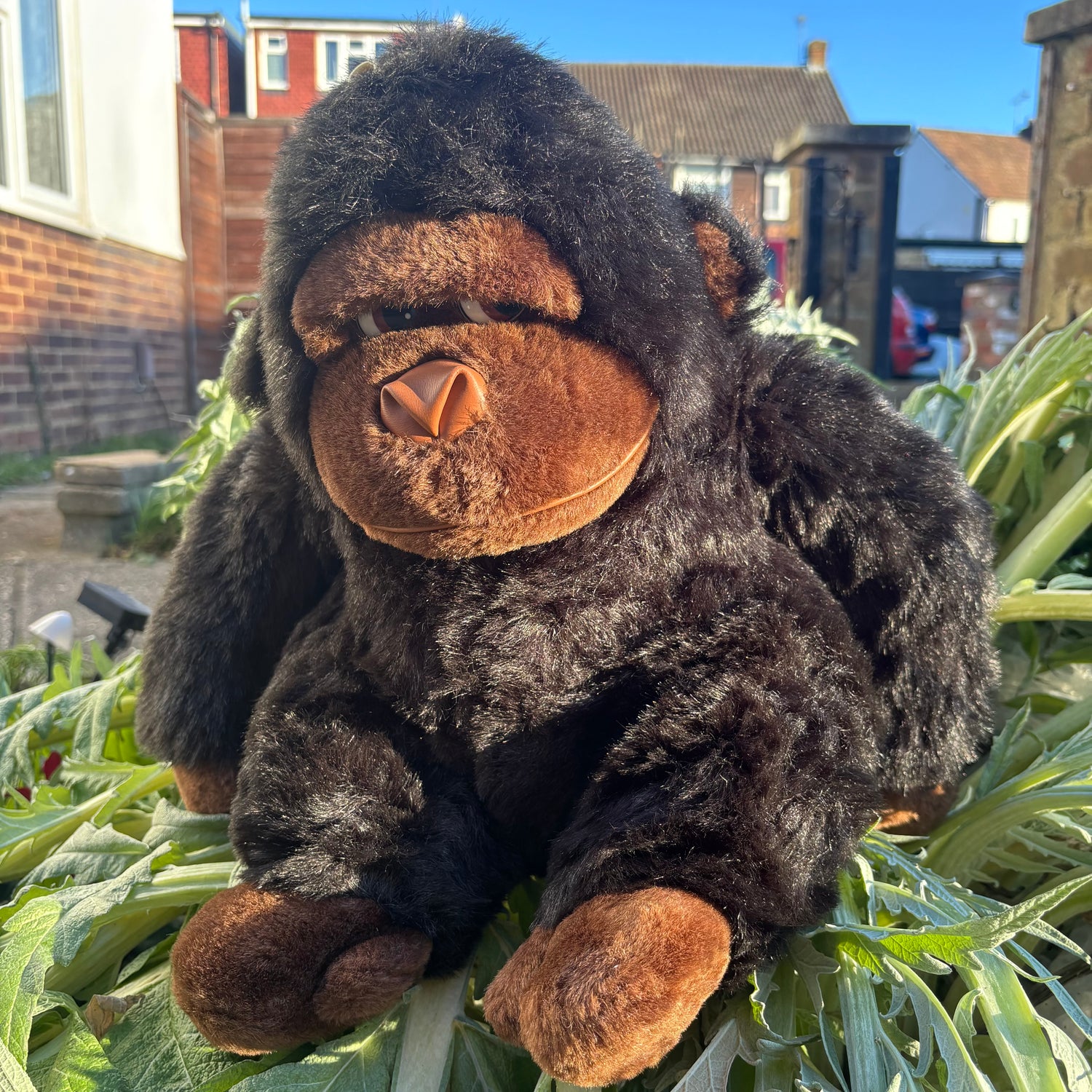 JANUARY RILLER COLLECTION