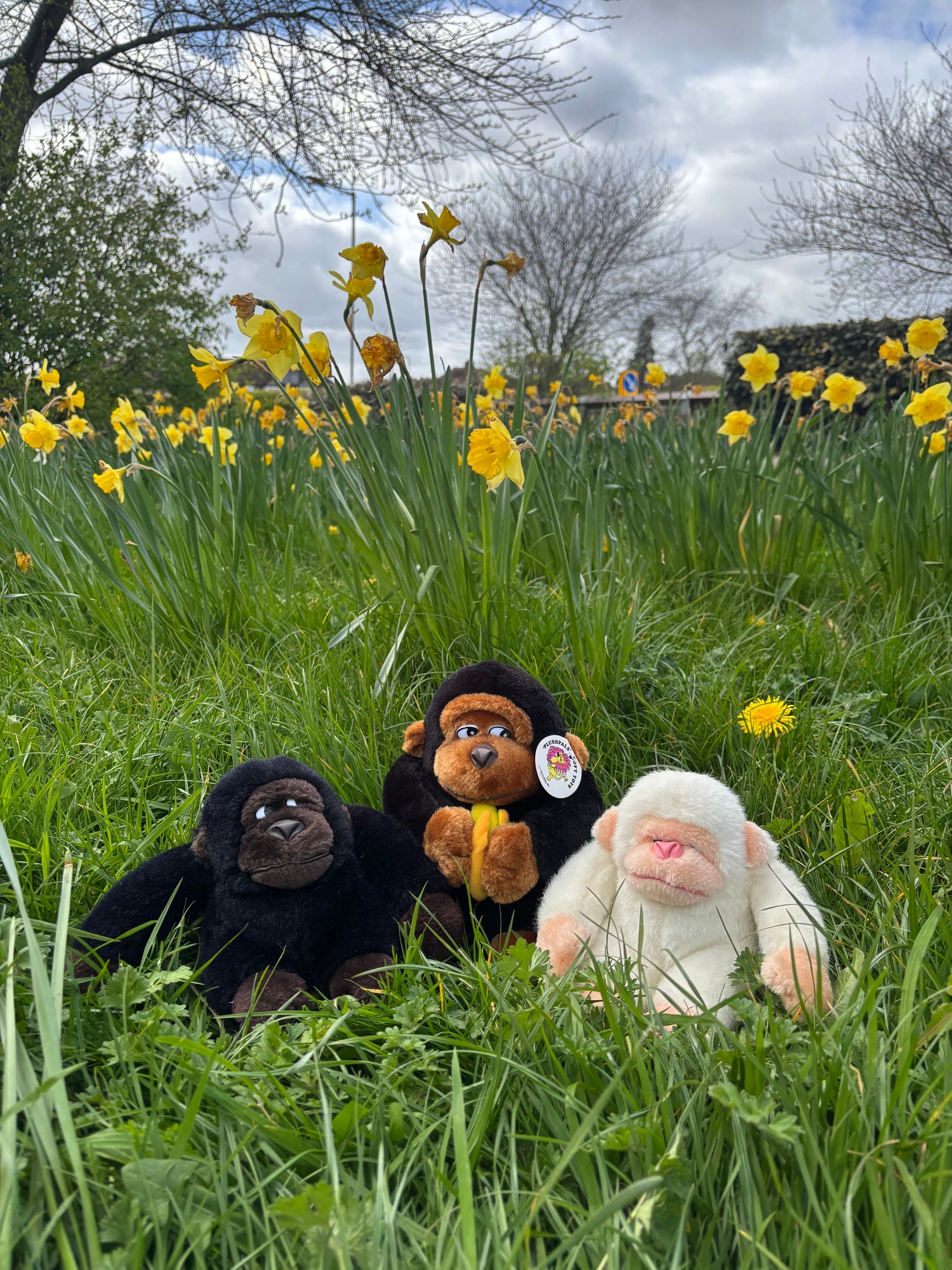 SPRING RILLER COLLECTION PT.2