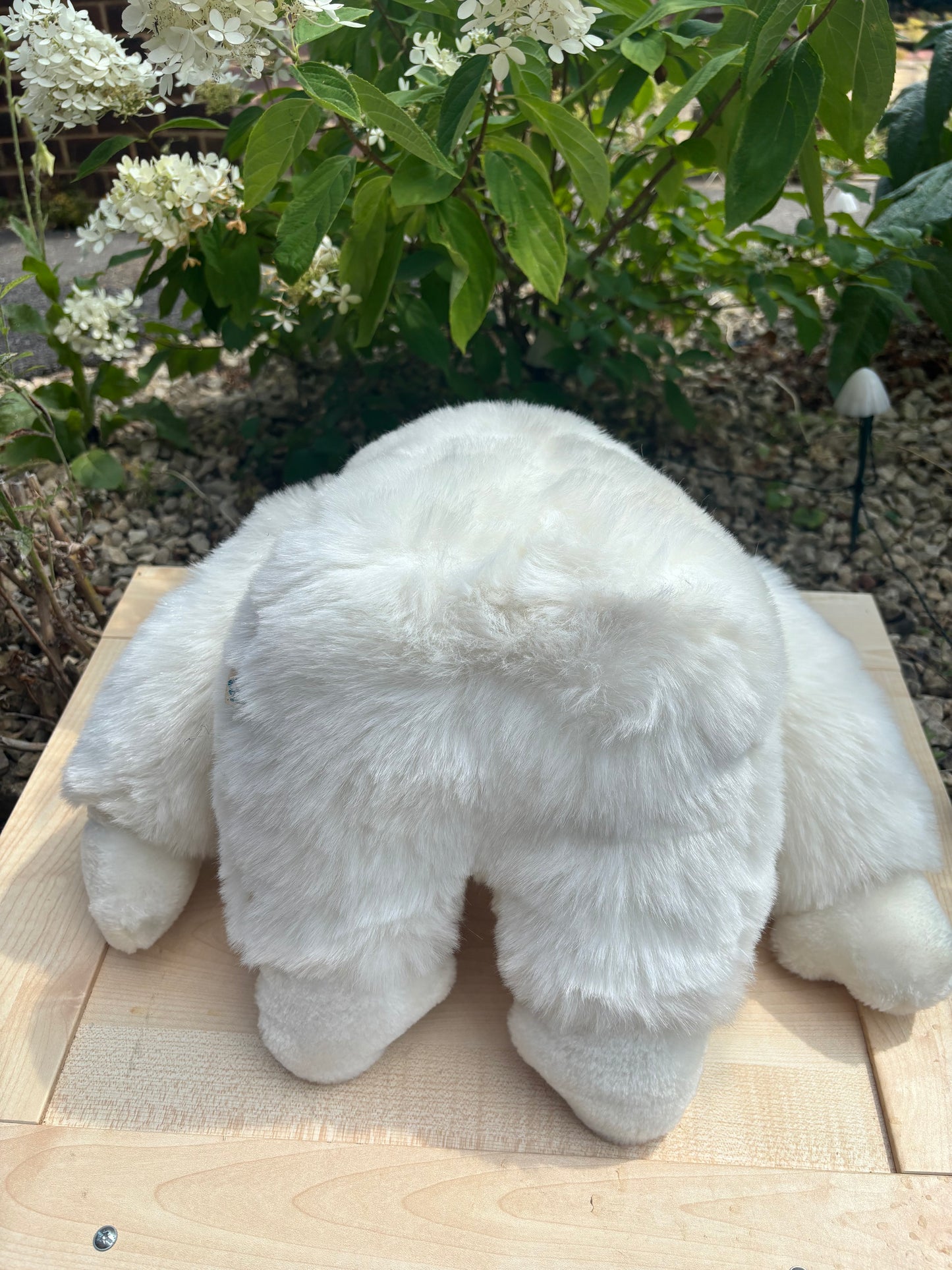 Claude Cloud