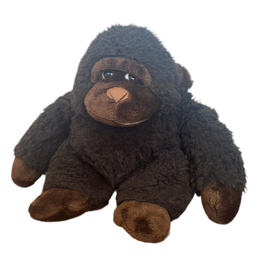 Barry Bashful