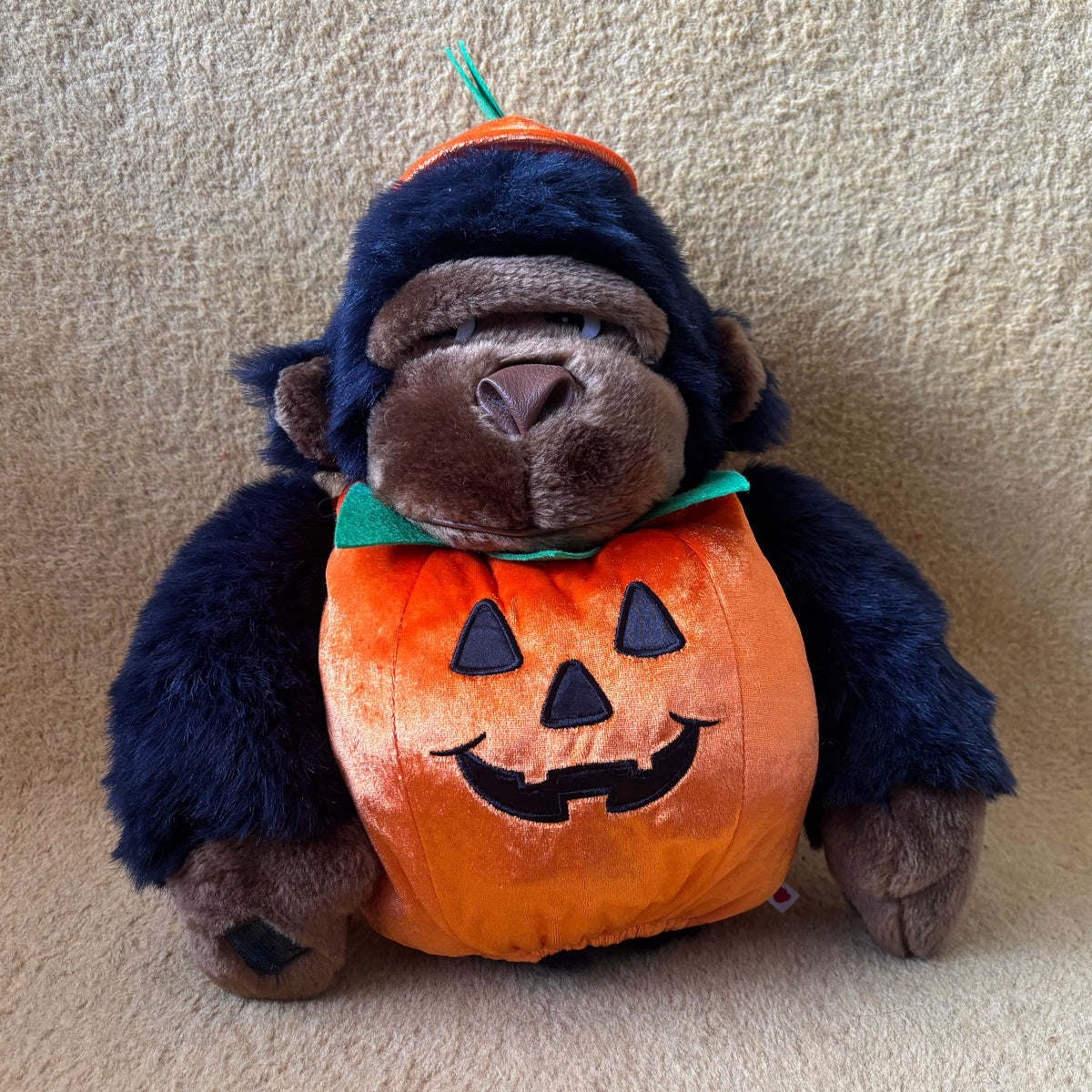 Pumpkin Paul