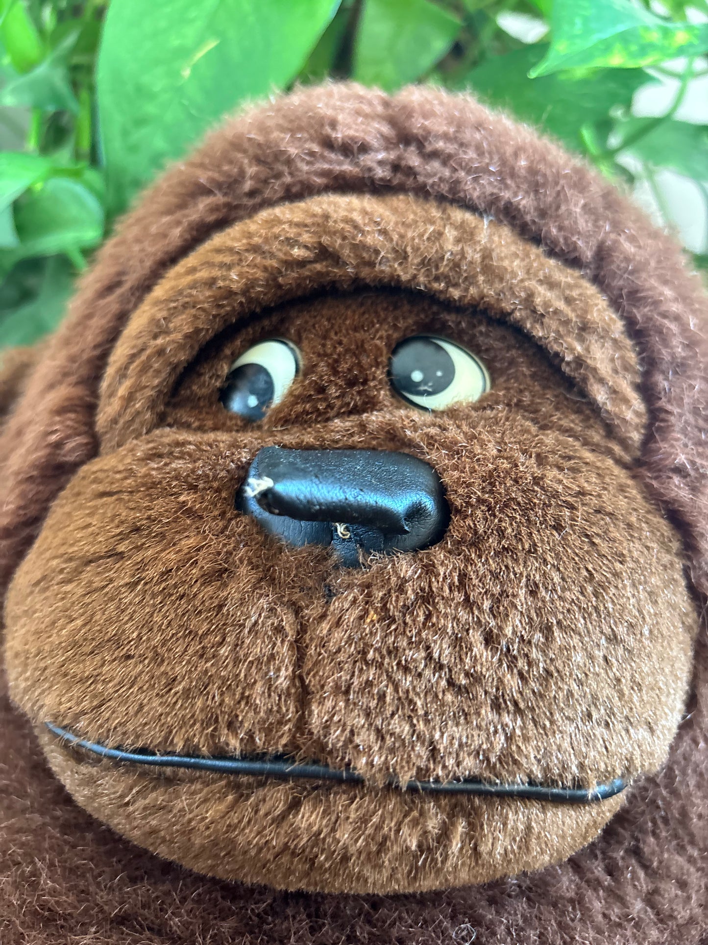Grizzler
