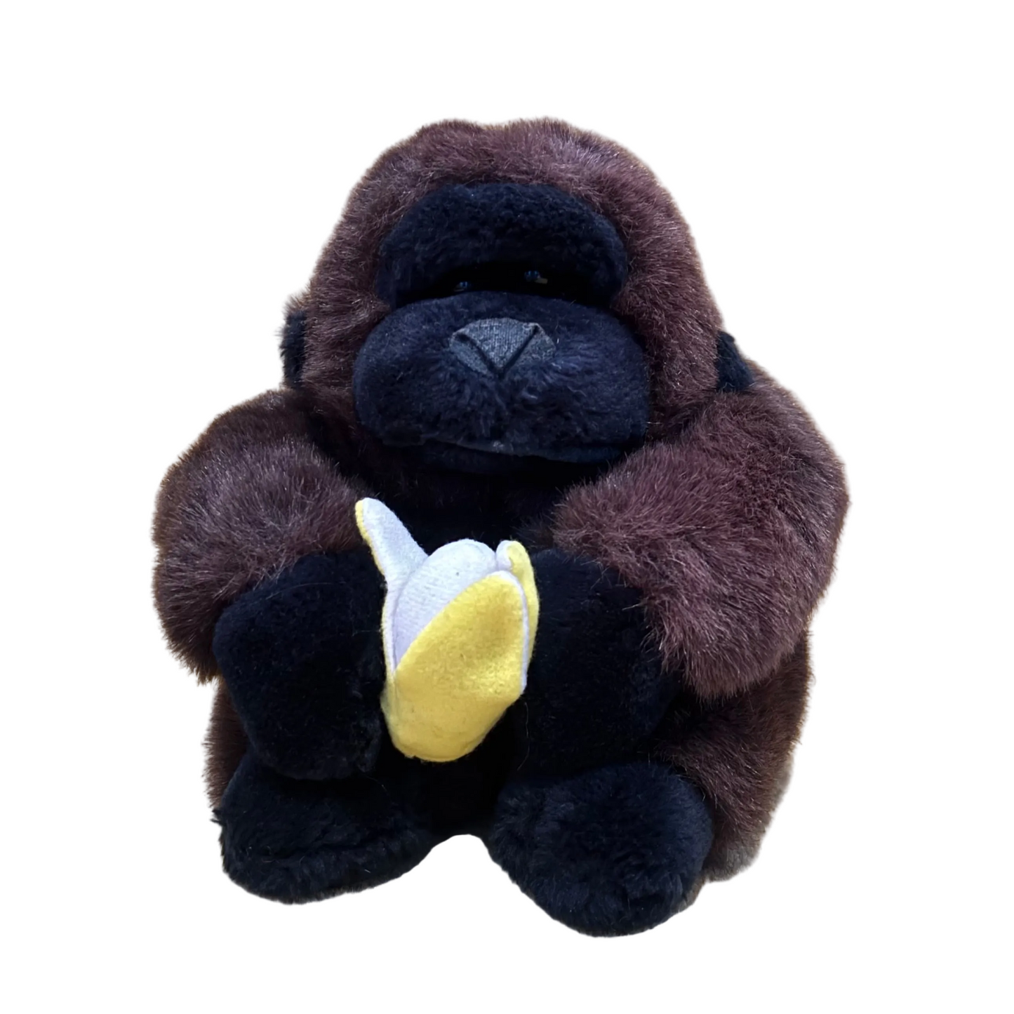 Biscuit