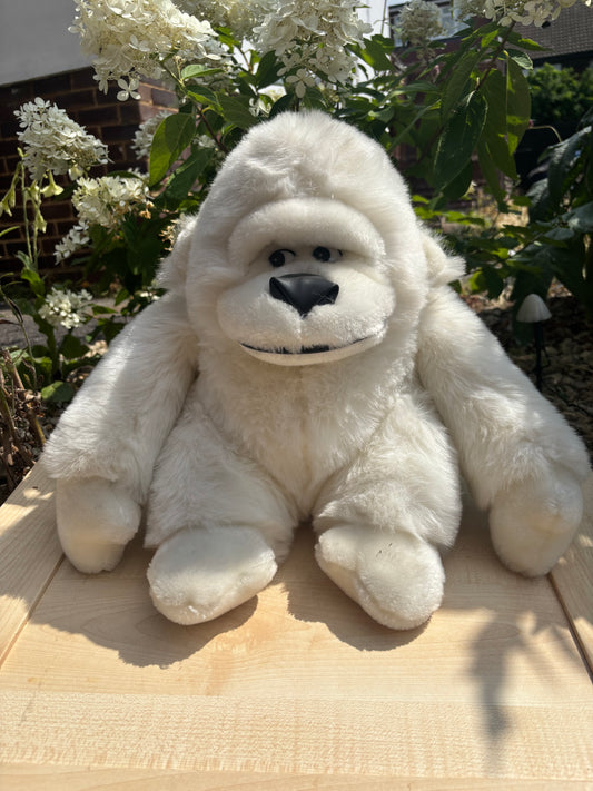 Claude Cloud