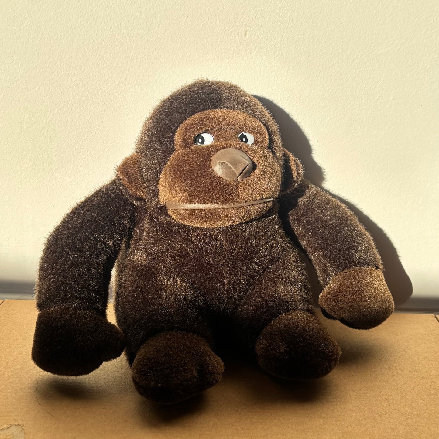 Bjorn