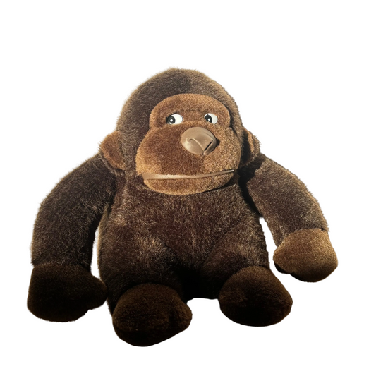 Bjorn