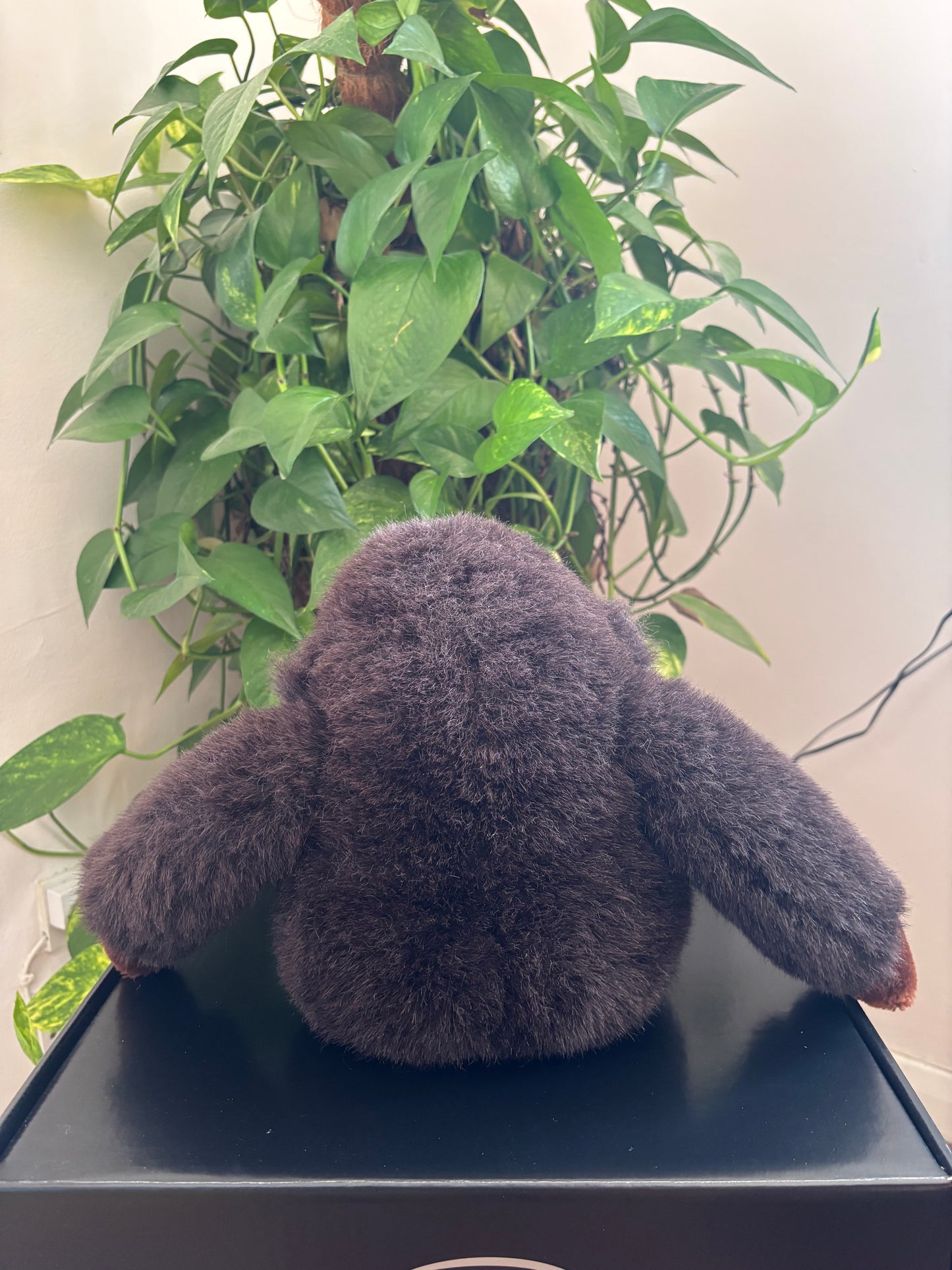 Bao
