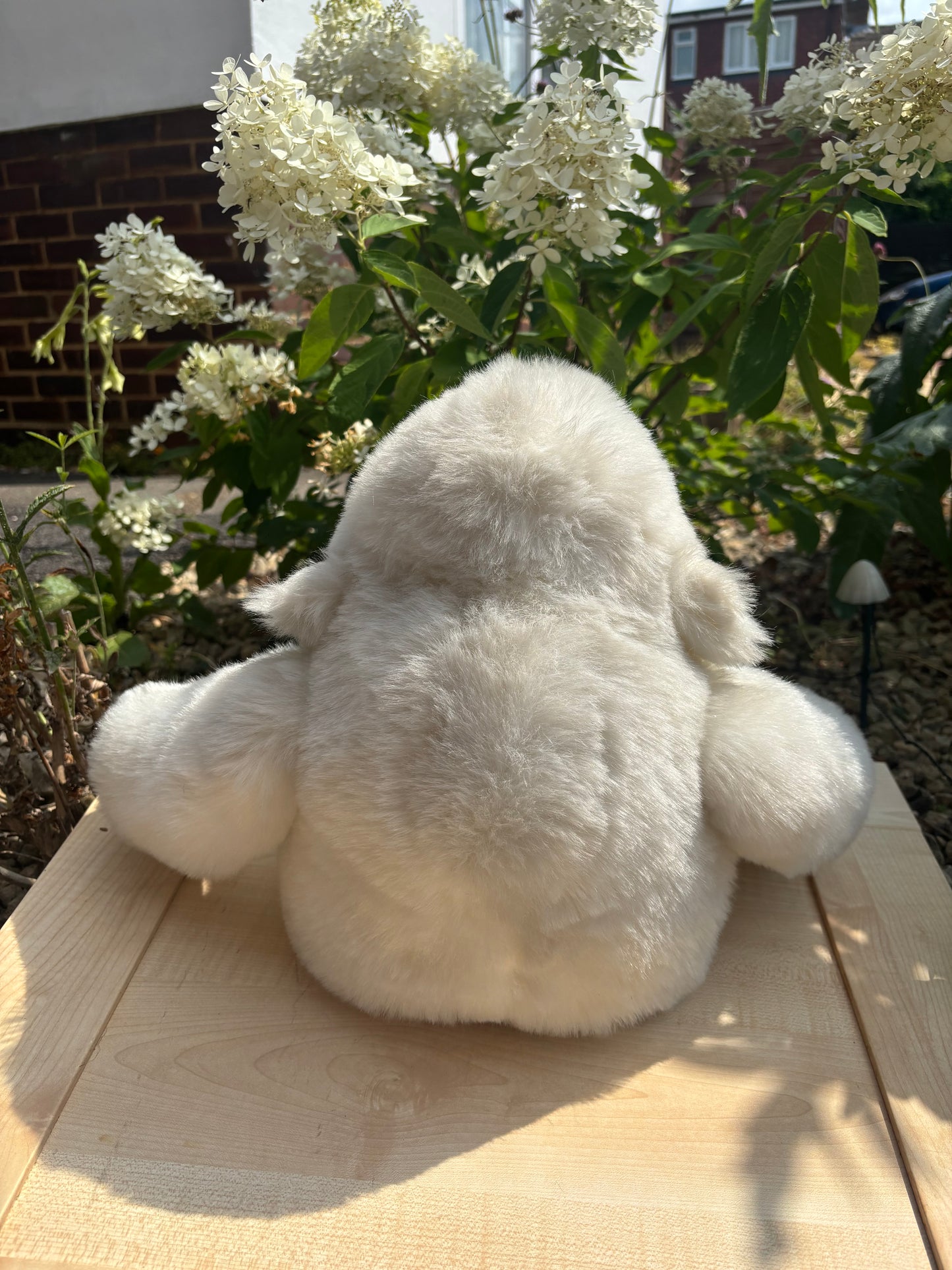 Claude Cloud