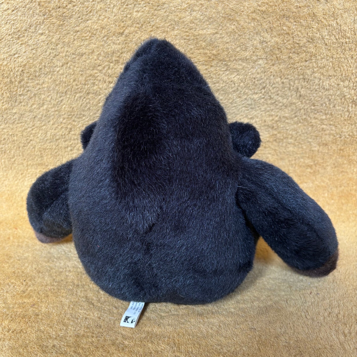 Ray